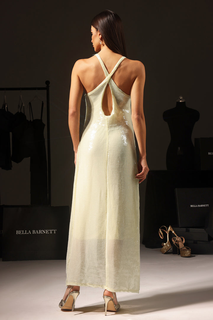 Wynter Flowers Halterneck Backless Maxi Dress